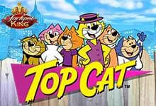 Top Cat