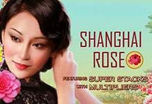 Shanghai Rose