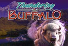 Thundering Buffalo