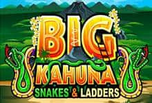 Big Kahuna: Snakes and Ladders