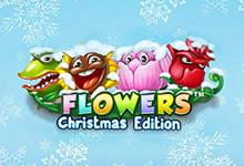 Flowers Christmas Edition