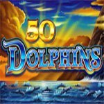 50 Dolphins