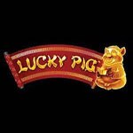 Lucky Pig