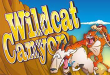 Wildcat Canyon