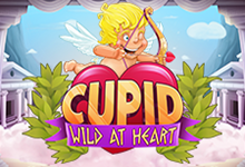 Cupid: Wild at Heart
